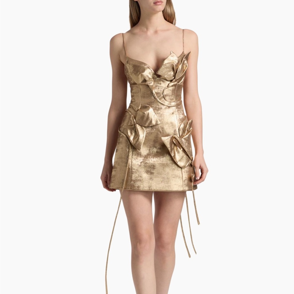 Acler Hillsome Floral Applique Gold Mini Dress